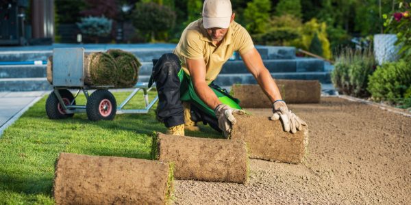 Residential Backyard Garden Fresh Natural Grass Turfs Installation Performed by Professional Landscaper
